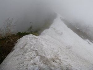 霧の中の雪稜